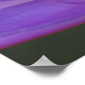 Water Lily Poster (Hoek)