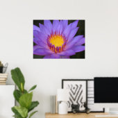 Water Lily Poster (Thuiskantoor)