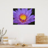 Water Lily Poster (Keuken)