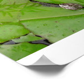 Water Lily Poster (Hoek)