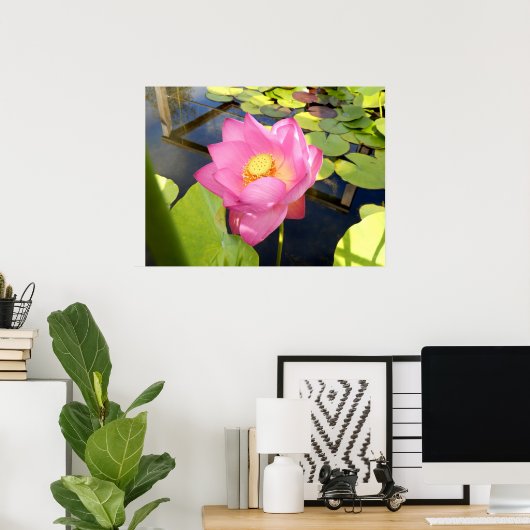 Water Lily Poster (Thuiskantoor)