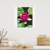 Water Lily Poster (Keuken)