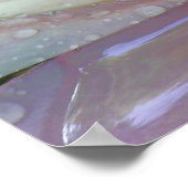 Water Lily Poster (Hoek)