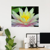 Water Lily Poster (Thuiskantoor)