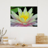 Water Lily Poster (Keuken)