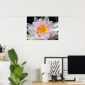 Water Lily Poster (Thuiskantoor)