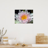 Water Lily Poster (Keuken)