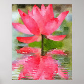 Water Lily Poster (Voorkant)