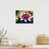 Water Lily Poster (Keuken)