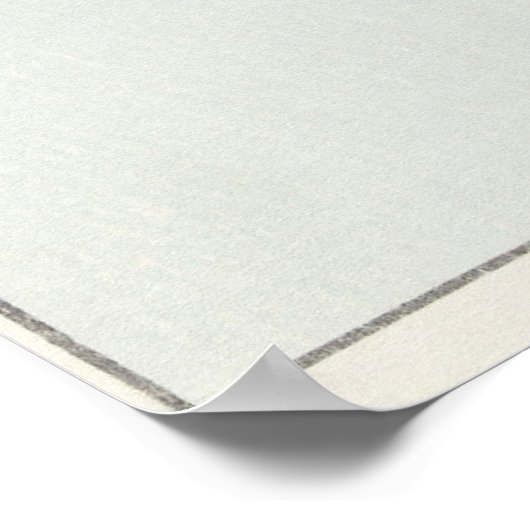 Water Lily Poster (Hoek)