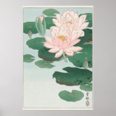 Water Lily Poster (Voorkant)