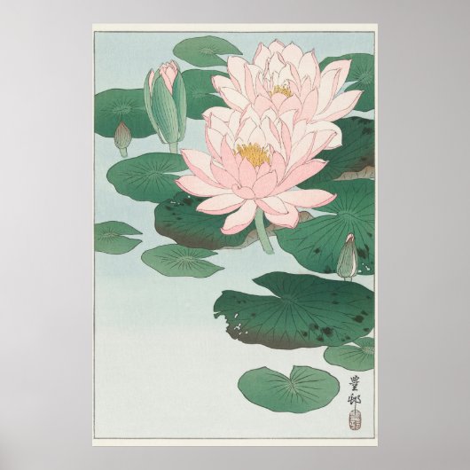 Water Lily Poster (Voorkant)