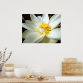 Water Lily Poster (Keuken)