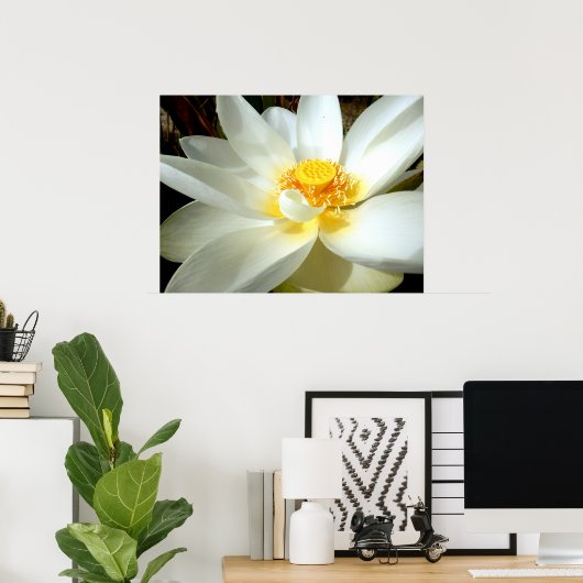Water Lily Poster (Thuiskantoor)