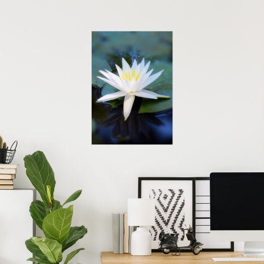 Water Lily Poster (Thuiskantoor)
