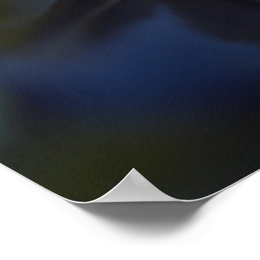 Water Lily Poster (Hoek)