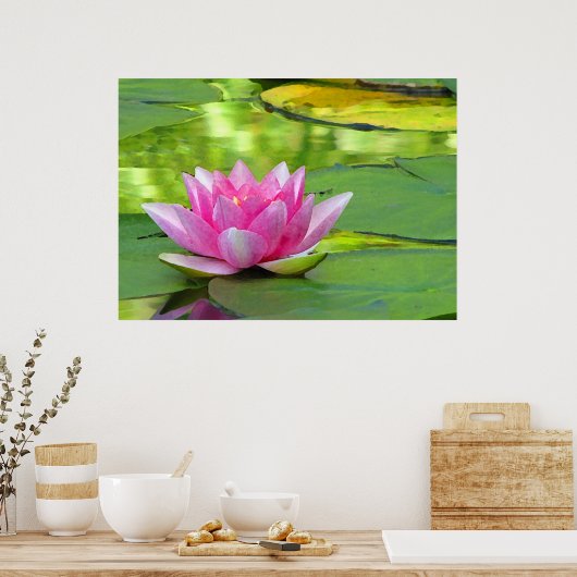 Water Lily Poster (Keuken)