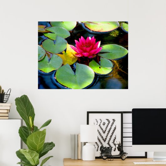 Water Lily Poster (Thuiskantoor)