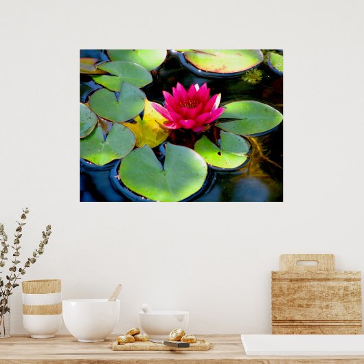 Water Lily Poster (Keuken)