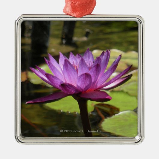 Water Lily Premium Square Ornament (Voorkant)