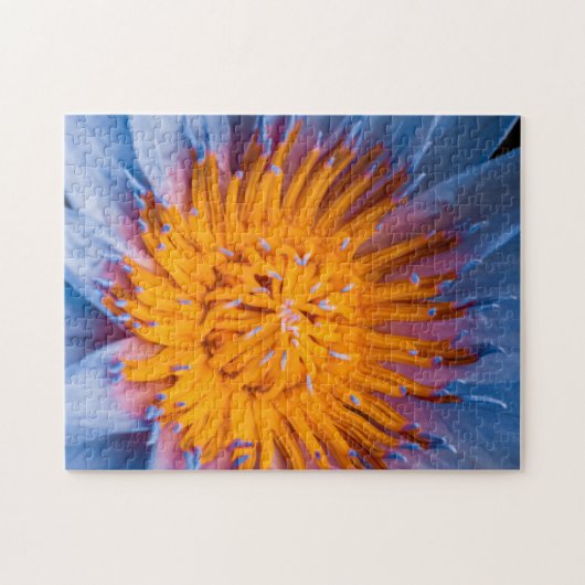 Water Lily Puzzle 11" X 14" 252 pieces Legpuzzel (Horizontaal)