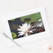 Water Lily Rechthoekige Sticker (Envelop)
