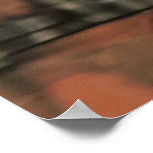 Water Lily Reflection Foto Poster Print (Hoek)