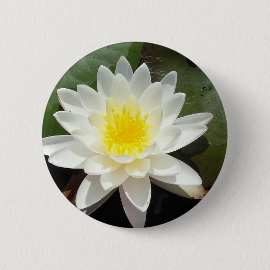 Water Lily Ronde Button 5,7 Cm (Voorkant)