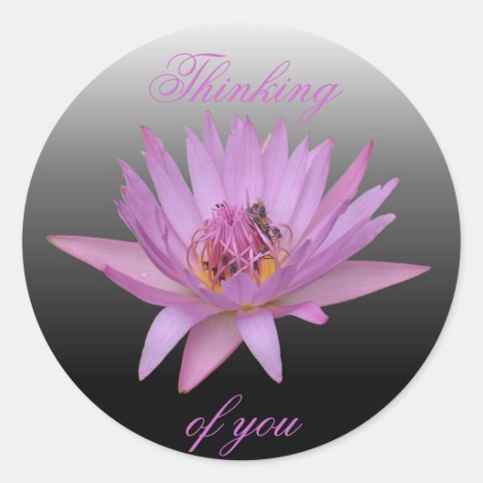 Water Lily Ronde Sticker (Voorkant)