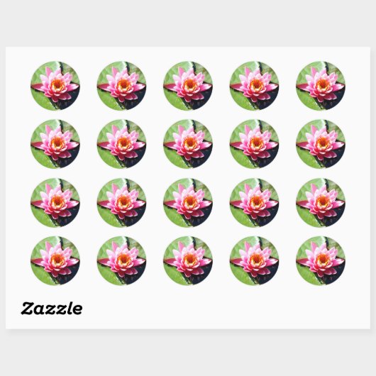 Water Lily Ronde Sticker (Vel)