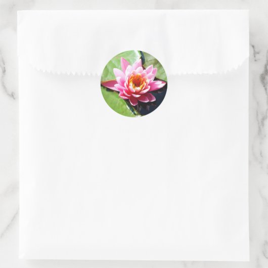 Water Lily Ronde Sticker (Tas)