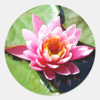 Water Lily Ronde Sticker