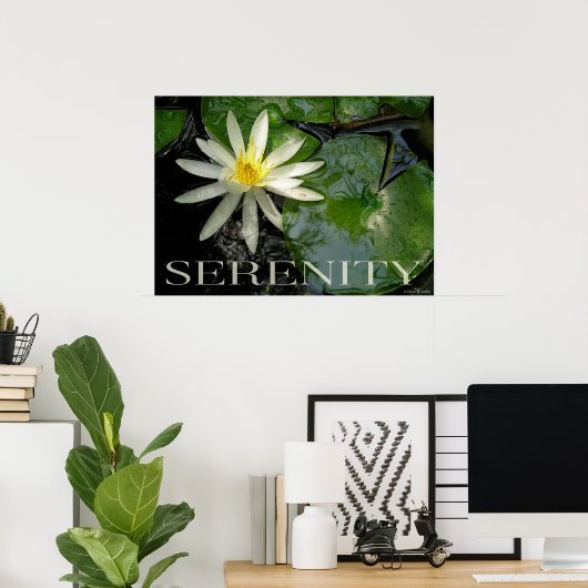 Water Lily Serenity Inspirerend Poster (Thuiskantoor)