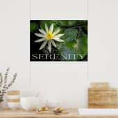 Water Lily Serenity Inspirerend Poster (Keuken)