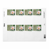 Water Lily Shipping Label (Full Sheet)