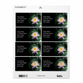 Water Lily Shipping Label (Full Sheet)