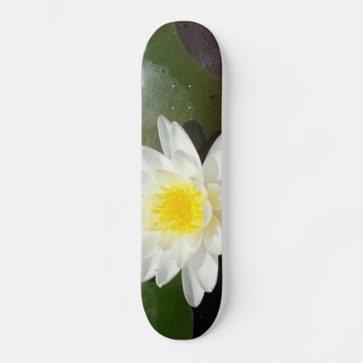 Water Lily Skateboard (Voorkant)
