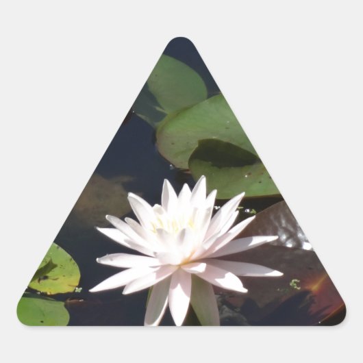 Water Lily Sticker (Voorkant)