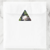 Water Lily Sticker (Tas)