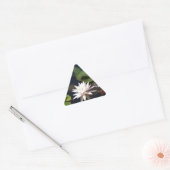 Water Lily Sticker (Envelop)