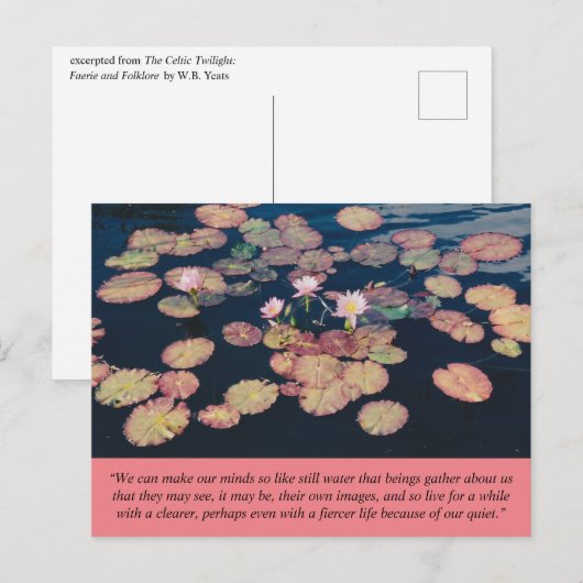 Water Lily Stillness Briefkaart (Voorkant / Achterkant)