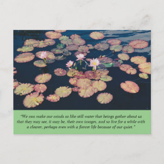 Water Lily Stillness Briefkaart
