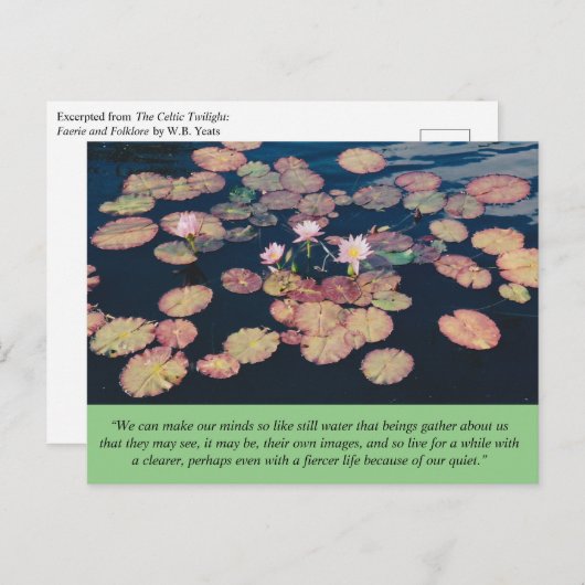 Water Lily Stillness Briefkaart (Voorkant / Achterkant)