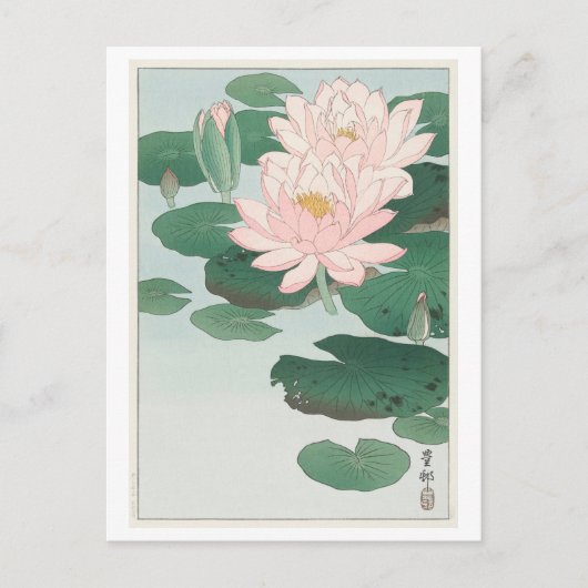 Water Lily van Ohara Koson Briefkaart (Voorkant)