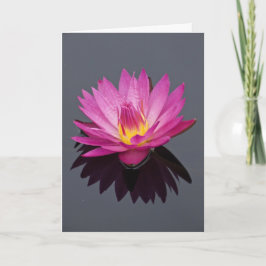 Water Lily Verjaardag Kaart