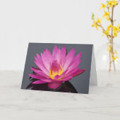 Water Lily Verjaardag Kaart (Gele Bloem)