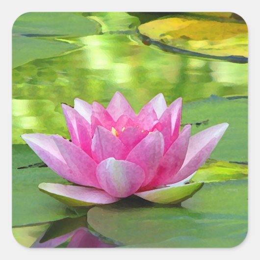 Water Lily Vierkante Sticker (Voorkant)