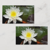 Water Lily Visitekaartje (Voorkant / Achterkant)