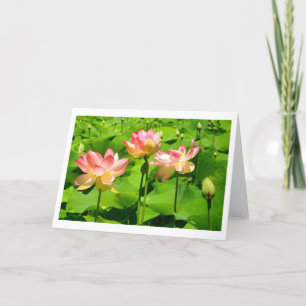 Water Lily Wenskaart Kaart