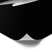 Water Lily's Poster (Hoek)